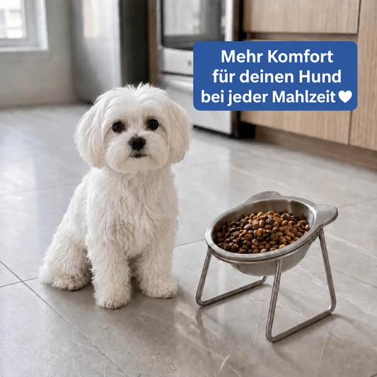 Nalu™ Futternapf mit 15° Neigung